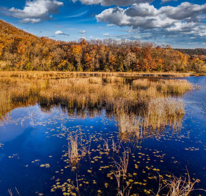 水质多参数分析仪 水质多参数分析仪