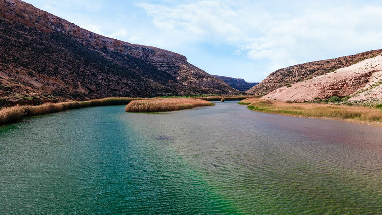 水质分析仪 水质分析仪
