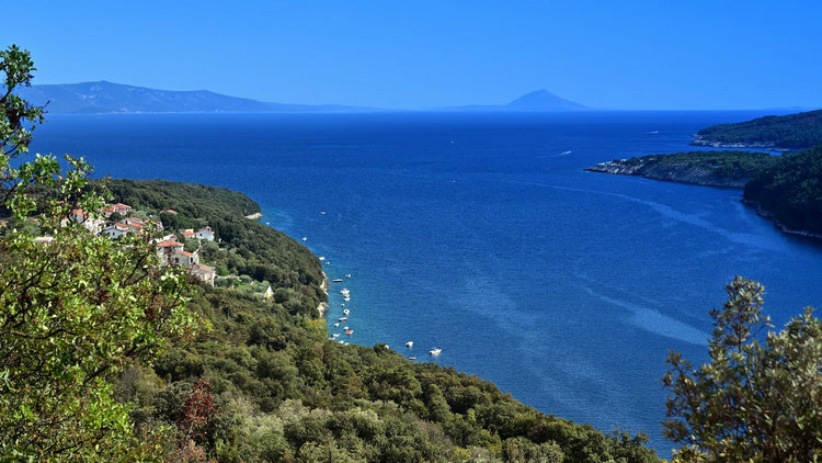 水质在线分析仪