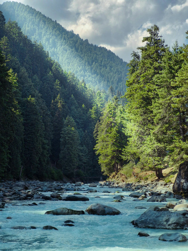 BOD分析仪 BOD分析仪